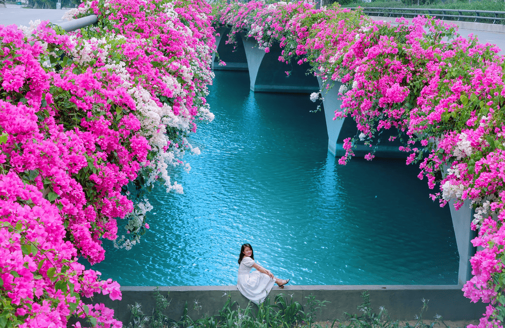 C&acirc;y cầu hoa giấy ở Ecopark với khung cảnh như trong chuyện cổ t&iacute;ch (Nguồn: Th&agrave;nh phố Xanh Ecopark)